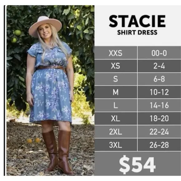 Lularoe New Stacie Shirt Dress Drawstring Button Up Pockets Blue Floral Plus 2XL - Picture 1 of 11